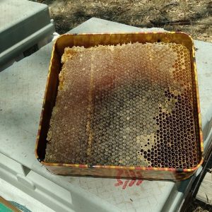 Karakovan Doğal Petekli Bal 1.5kg (Teneke Kutu)