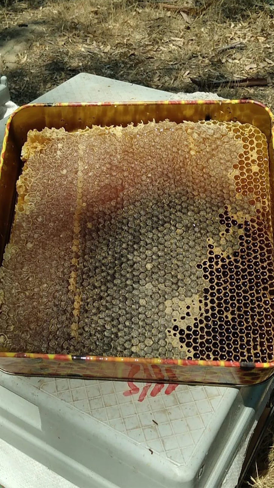 Karakovan Doğal Petekli Bal 1.5kg (Teneke Kutu)