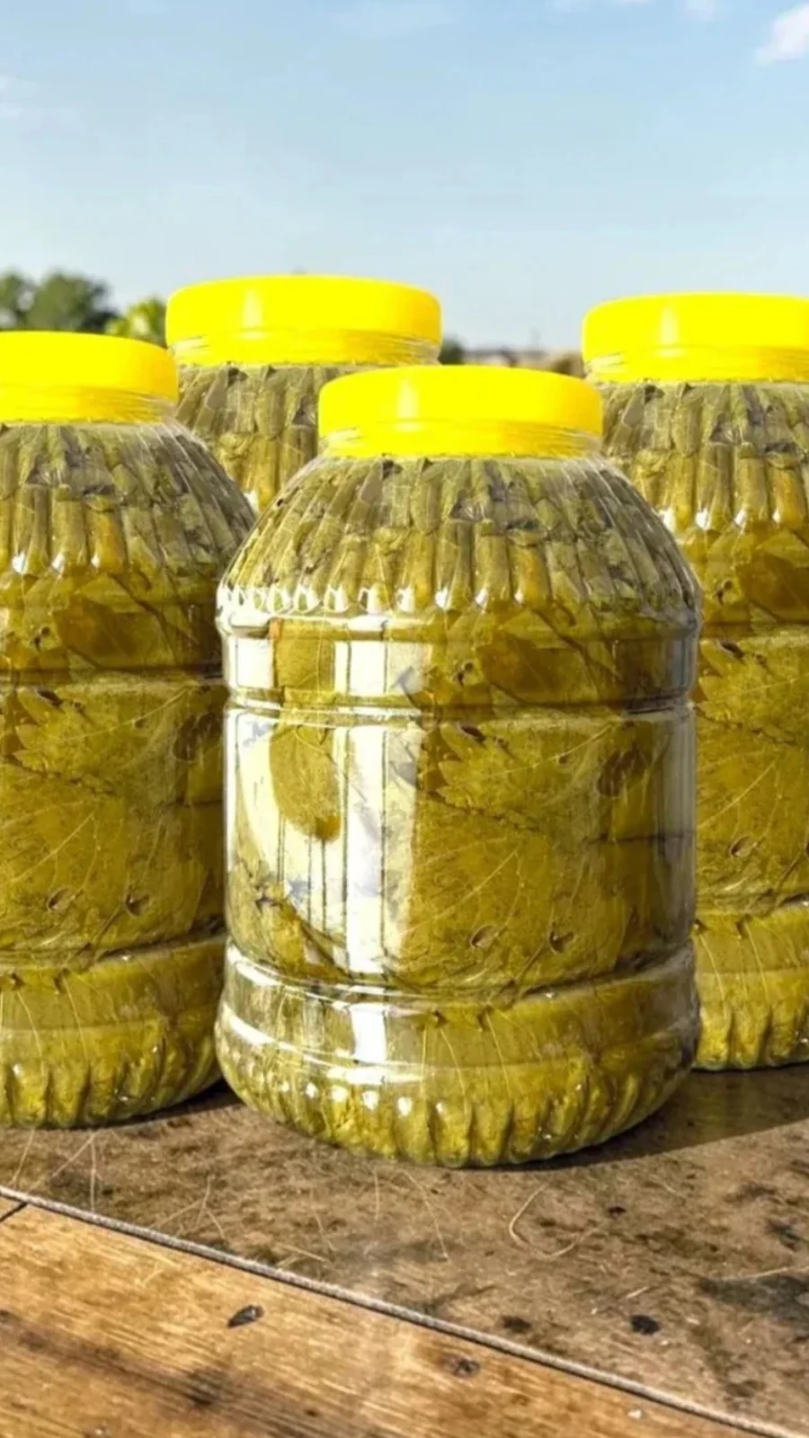 Sultaniye Asma Yaprağı (5 L Pet Şişe)