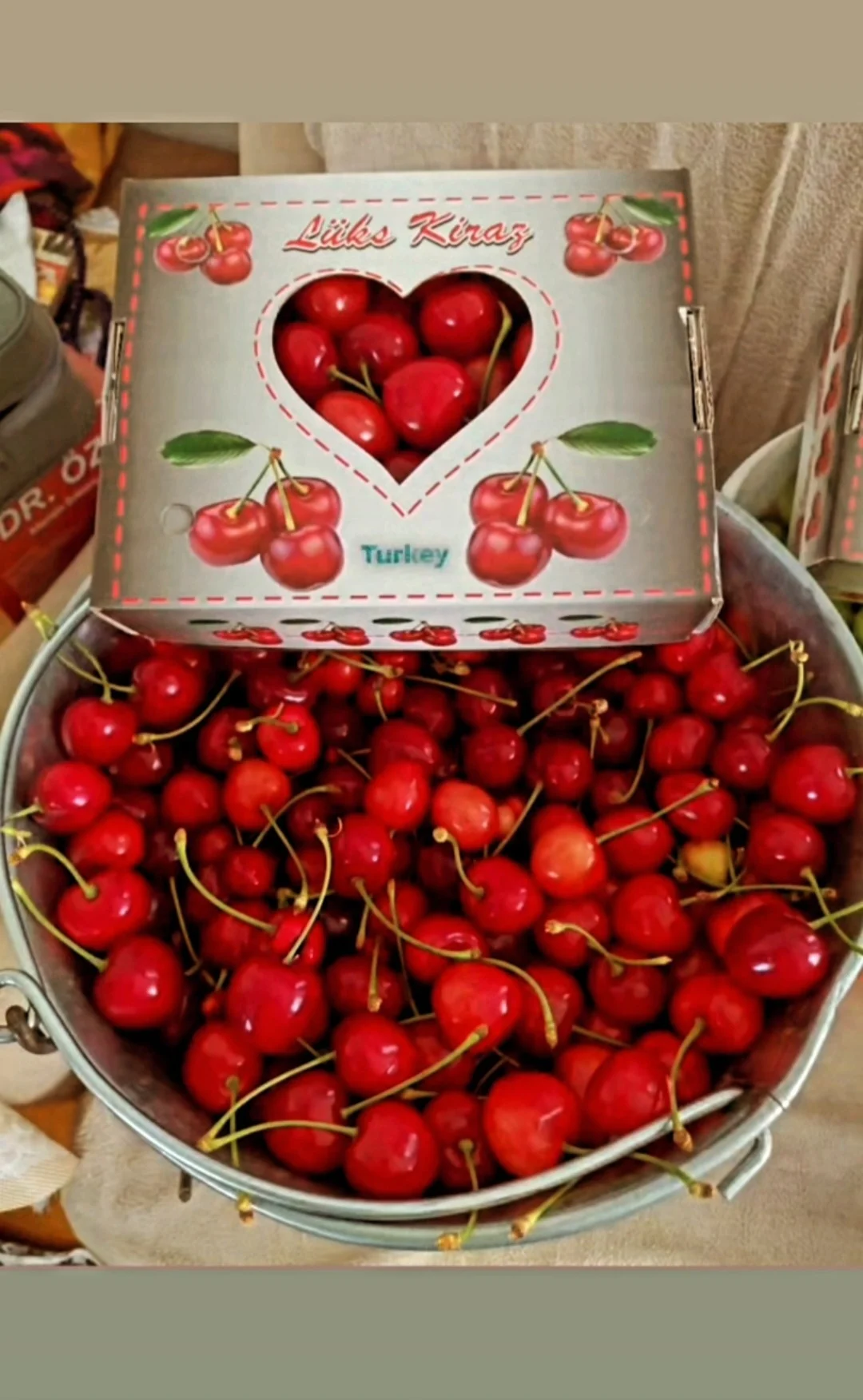Dalından Salihli Kirazı (1 kg)