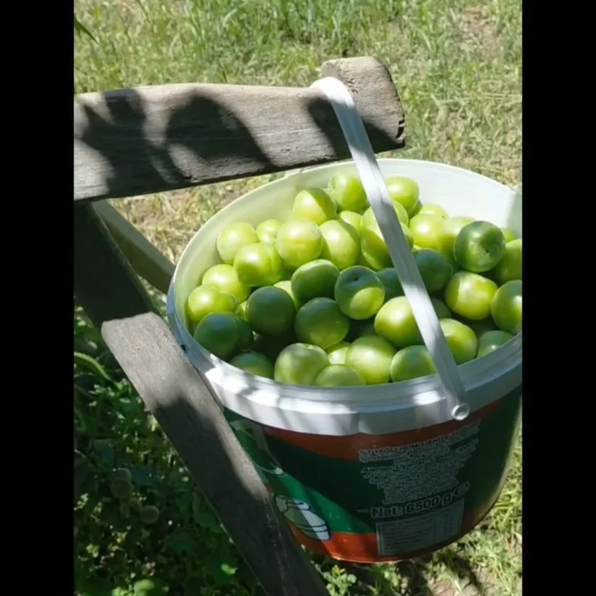 Dalından Papaz Eriği (1kg)